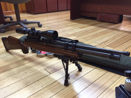 Vendo esta carabina. POTENCIA Y PRECISIÓN ASEGURADAS. Cal .25 ó 6,35mm La potencia de impacto y precisión 31