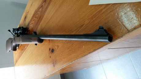 Pues empiezo yo :mrgreen: 3
De todas las armas que he tenido y tengo y de todos los disparos que he realizado, 62