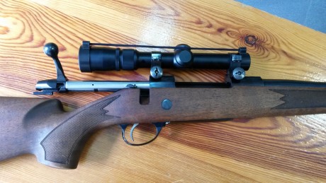 Pues empiezo yo :mrgreen: 3
De todas las armas que he tenido y tengo y de todos los disparos que he realizado, 61
