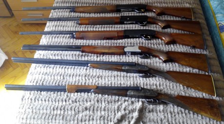 Un conocido deja la caza por edad, y me ha pedido que ponga en venta sus 6 escopetas, son las siguientes:
- 00