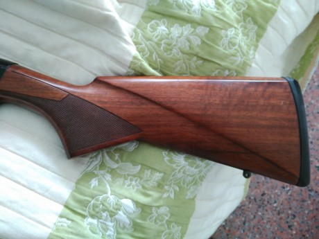 Buenos dias compañeros:

Pongo a la venta una escopeta repetidora Browning Fusion Evolve,  os pongo las 00