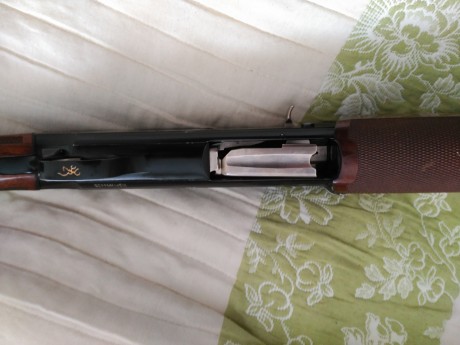 Buenos dias compañeros:

Pongo a la venta una escopeta repetidora Browning Fusion Evolve,  os pongo las 11