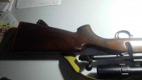 buenas tardes, el rifle es un sabatti calibre 300 wmg, tiene monturas leupold QR desmontables y visor 31