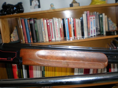 Cambio o vendo por 600 euros escopeta FN BROWNING GTI TRAP 01