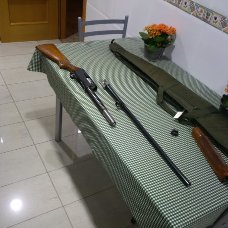 Hola a todos, por circunstancias que no vienen al caso a llegado a mis manos una escopeta semiautomática 00