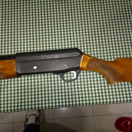 Hola a todos, por circunstancias que no vienen al caso a llegado a mis manos una escopeta semiautomática 21