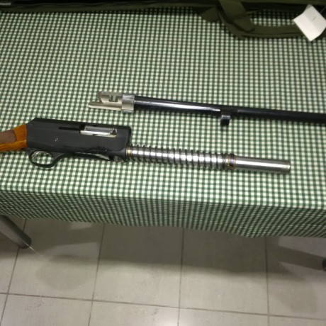 Hola a todos, por circunstancias que no vienen al caso a llegado a mis manos una escopeta semiautomática 20