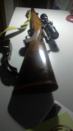 buenas tardes, el rifle es un sabatti calibre 300 wmg, tiene monturas leupold QR desmontables y visor 50
