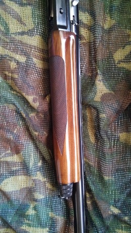 Buenas tardes al foro, vendo las siguientes escopetas:
-Escopeta semiautomatica italiana breda modelo 60