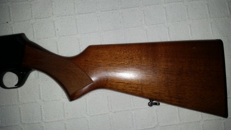 Hola:
Vendo FN BROWNING BAR I 3006 por no usarlo ya que tengo otro pero BAR II. Aunque sea un rifle con 10