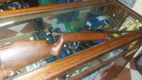 Un señor me ha pedido que le ponga a la venta dos unidades de esta carabina rara i digicil de ver. Creo 10