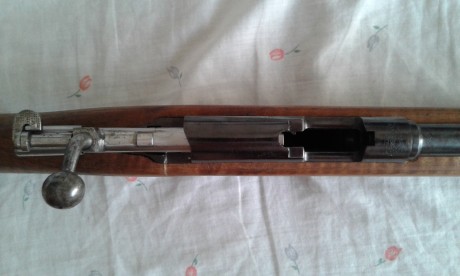 Vendo mi carabina Destroyer de 9mm. Luger , en perfecto estado de revista, con su cargador de 6 cartuchos 11