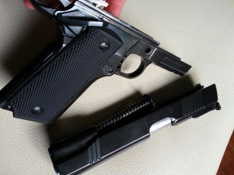 Hola a todos. Vendo mi Norinco NP44 en calibre 45 acp. Se trata de la copia de la P14 de Paraordenance. 00
