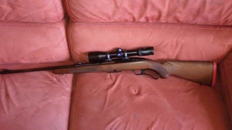 Vendo Winchester 88 calibre 308W. Pre-64. Con 2 cargadores de 4 balas y disparador afinado. Bases y anillas 02