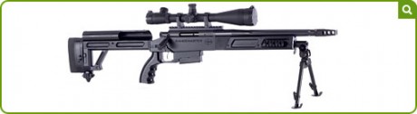 https://www.rpainternational.co.uk/rifles.asp

Creo que es interesante mostrarlos.  :sniper 
Un ejemplo: 10