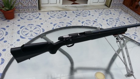 Pongo a la venta esta carabina (Solo Carabina) en estado impecable y muy poco usada, 
ya que me dedico 20