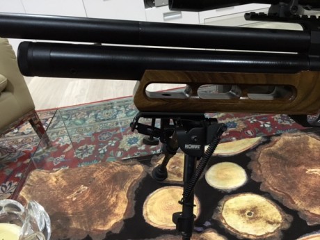 Pongo a la venta esta Edgun en estado impecable, tanto estética como funcionamiento.
Muy pocos tiros.
Incluye 12