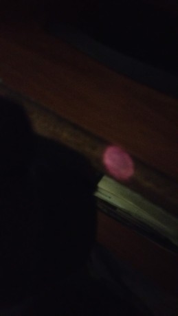 Buenas a todos, soy nuevo en esto, estoy buscando un visor nocturno. Con mi presupuesto he encontrado 100