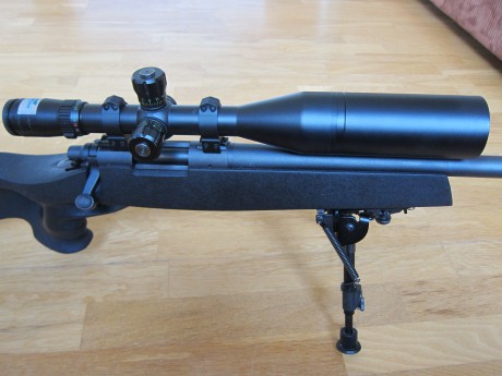   Vendo Visor Bushnell Elite 4200 6-24x50 Tactical, tubo de 30  mm  

 El visor esta en perfectas condiciones, 11