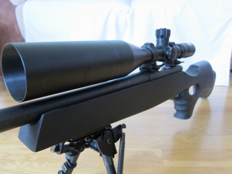  Vendo Visor Bushnell Elite 4200 6-24x50 Tactical, tubo de 30  mm  

 El visor esta en perfectas condiciones, 21