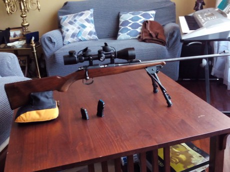 Vendo carabina de cerrojo calibre 22lr , de la prestigiosa marca CZ modelo Brno 2 (452) , famosa por su 01