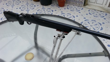 Pongo a la venta esta carabina (Solo Carabina) en estado impecable y muy poco usada, 
ya que me dedico 80