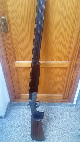 Hola vendo superpuesta Fabarm STL C6 COMPETICION, 76 cm de cañón, banda alta, dos culatas con sube baja, 02