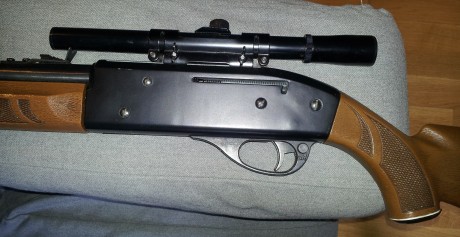 Vendo esta carabina crosman 766 + visor gamo, no tengo ni idea de aire comprimido pues era de mi padre, 01