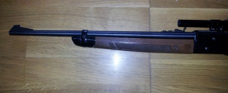 Vendo esta carabina crosman 766 + visor gamo, no tengo ni idea de aire comprimido pues era de mi padre, 00