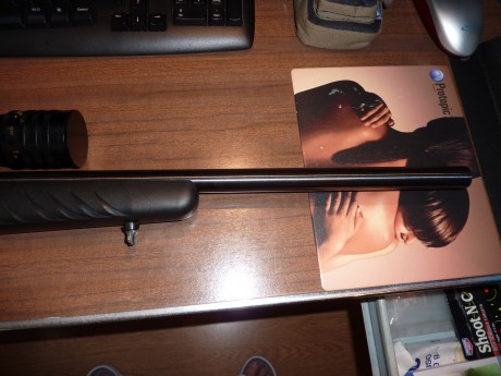  YA LO HE ENCONTRADO Pues eso que busco un cañón para Sako Quad del 22 LR con miras abiertas, lo puedo 11