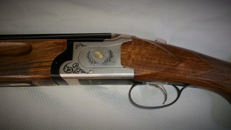 Vendo Lauroa Trap de 76 cms. de largo de cañón.
En perfecto estado, muy poco uso. se incluye funda.
Precio 00