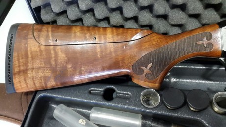Vendo o cambio escopeta repetidora Fabarm Eurolion MKII con culata regulable, 4 chokes interiores y dos 00