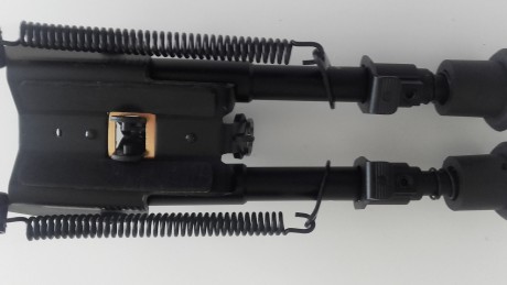Son bipodes genericos,sin marca, pero cumplen muy bien su cometido. 14 cm plegado y 21,5 cm extendido.
Rapido 32