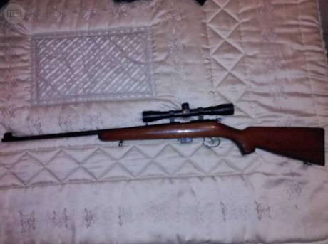 Se vende carabina Norinco del 22 Magnum, con anillas de 11 mm. y visor 4x32.
Entrega en mano en Barcelona. 01