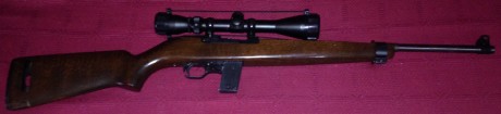 Vendo carabina del 22 lr replica M1 con mira norica muy pocos tiros solo se a usado ocasionalmente esta 02