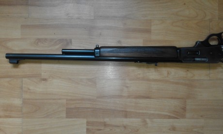 Vendo Marlin 444, buen estado general, recién revisado por armero profesional con factura, precio 500 10