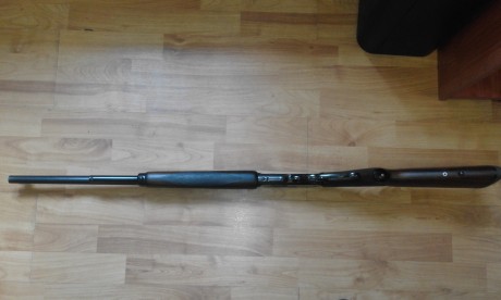 Vendo Marlin 444, buen estado general, recién revisado por armero profesional con factura, precio 500 21