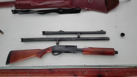 Que tal , compro  remington 870 express con cañon con alza y punto de mira , o cambio por dos paralelas 60