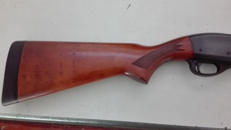 Que tal , compro  remington 870 express con cañon con alza y punto de mira , o cambio por dos paralelas 91