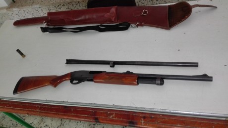 Que tal , compro  remington 870 express con cañon con alza y punto de mira , o cambio por dos paralelas 100