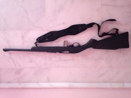 Hola

Cambio pistola S&W mod. 9506 con dos cargadores. El arma esta perfecta.
Guiada en "F"
Calibre 32