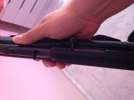 Hola

Cambio pistola S&W mod. 9506 con dos cargadores. El arma esta perfecta.
Guiada en "F"
Calibre 40