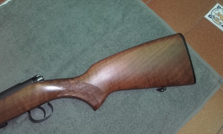 Vendo o cambio CZ 452 cal.22LR. Bien cuidada y mantenida, en excelentes condiciones. Cargador 5 balas. 00