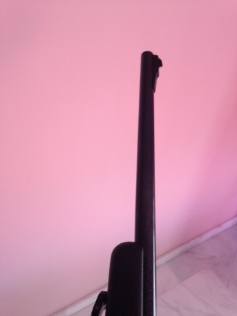 Pues eso, vendo carabina Marlin 22 lr modelo 795 de pasta negra.
Es muy pequeñita, manejable y precisa. 12