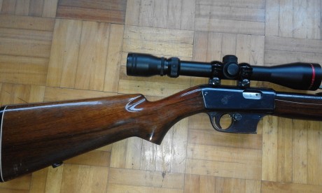 Vendo carabina Unique X51BIS, del 22 LR., semiatomatica desmontable, con un visor de 3-9X40, precio 250 11