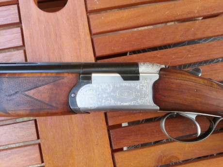 Hola a todos. Pongo a la venta mi antigua Beretta de plato. Se trata de una S56e,  monogatillo, con * 01