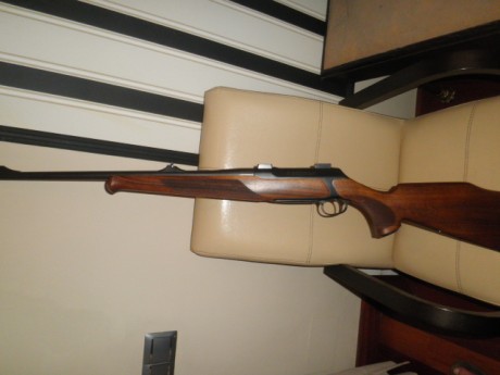 Vendo Sauer 202, modelo Classic, calibre 9.3x62 y cañón adicional calibre 7x64. Bases Y dos juegos de 00