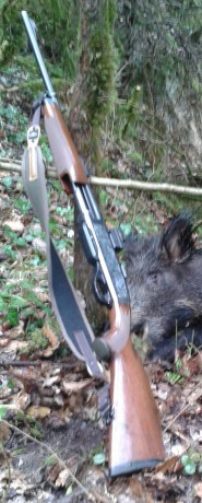 Abro este hilo porque los de corredera, no son rifles muy comunes en las cacerías españolas, pero muy 60