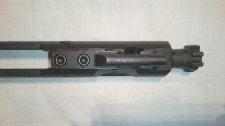 Hola, tengo este fusil desde hace un año y me gustaría poder desmontarlo completamente y dado que me dio 20