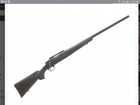 Hola compañeros, busco vuestro consejo/ opinión  para la adquisición de un mi primer rifle y como novato 01